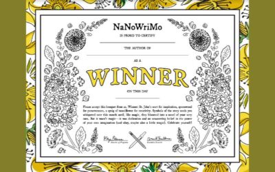 NaNoWriMo: Lessons from Year 3