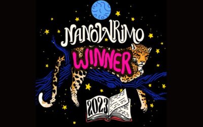 NaNoWriMo 2023: lessons of year 4