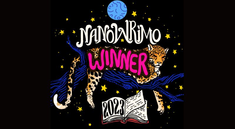 NaNoWriMo 2023: lessons of year 4